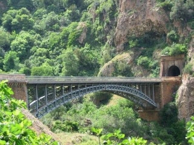 1581340241 137 The 7 best activities in the national park Tlemcen Algeria - The 7 best activities in the national park Tlemcen Algeria