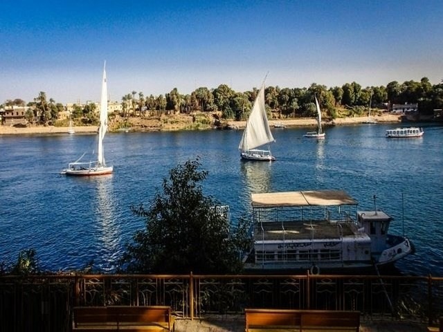 1581340531 638 The 6 best activities when visiting Plants Island in Aswan - The 6 best activities when visiting Plants Island in Aswan, Egypt