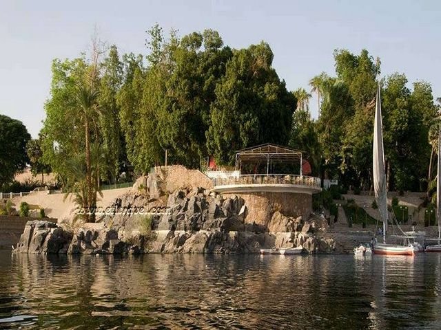 1581340531 952 The 6 best activities when visiting Plants Island in Aswan - The 6 best activities when visiting Plants Island in Aswan, Egypt