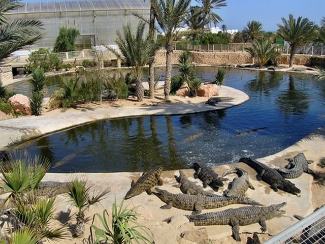 Dubai crocodile garden