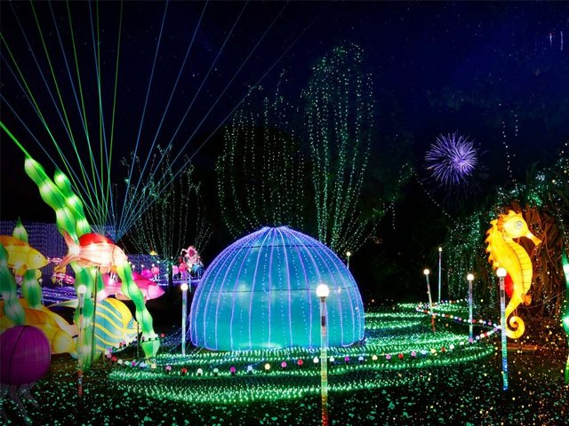 The world of colors in the luminous garden in Dubai