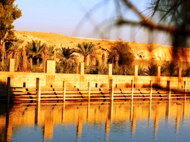 1581345042 252 The 7 best activities in King Salman Wild Park in - The 7 best activities in King Salman Wild Park in Riyadh
