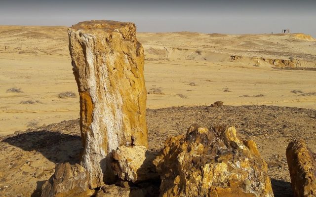 Fossilized trees reserve in Ain Sokhna