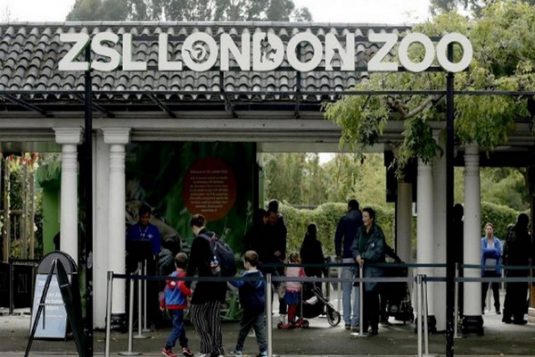 Tourist places in London for children