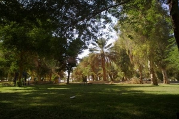 King Abdullah Park in Riyadh