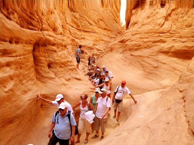 1581349112 903 The 9 best activities in Safari Sharm El Sheikh - The 9 best activities in Safari Sharm El-Sheikh