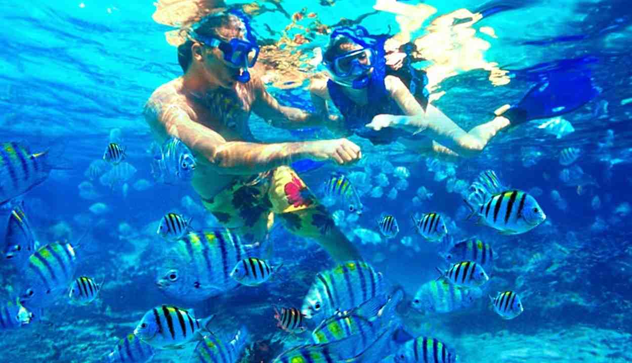 1581349752 481 Top 5 activities on Tiran Island Sharm El Sheikh - Top 5 activities on Tiran Island, Sharm El Sheikh