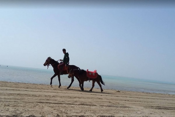 Al Seef Beach in Jeddah