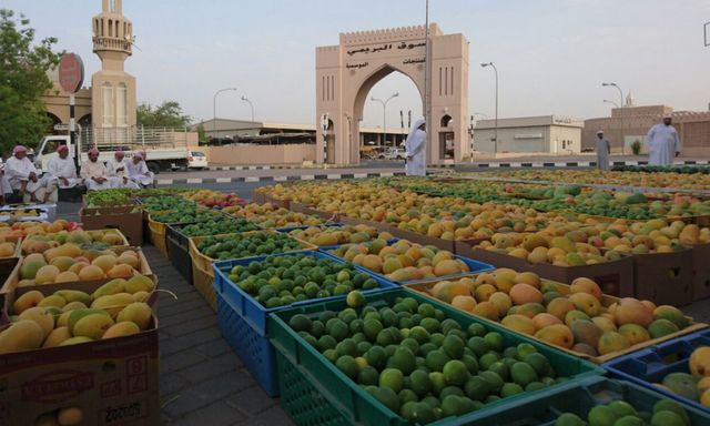 The most important tourist places in the city of Buraimi