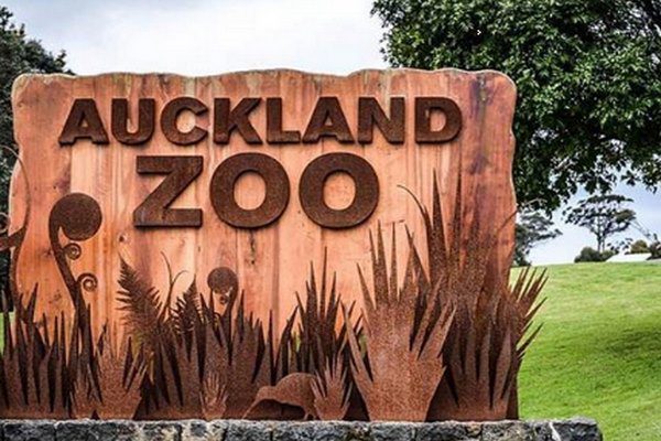 The 7 best activities in New Zealand’s Oakland Zoo