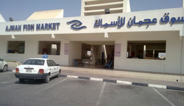 When does the fish market in Ajman work?