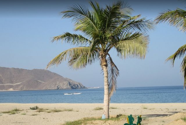 1581354752 957 Top 5 things to do on Khorfakkan beach - Top 5 things to do on Khorfakkan beach