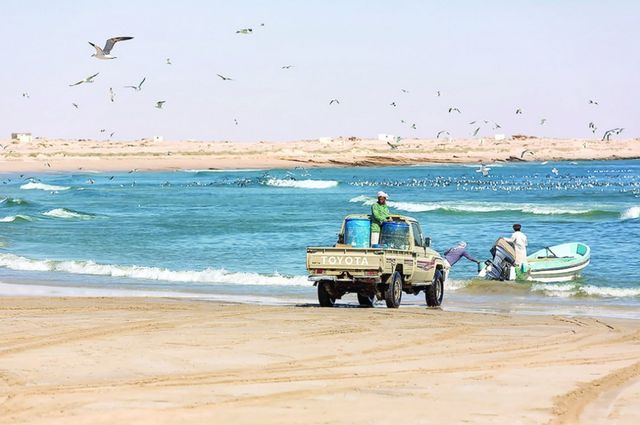 1581355782 721 Top 10 activities during tourism in Al Ashkhara - Top 10 activities during tourism in Al-Ashkhara
