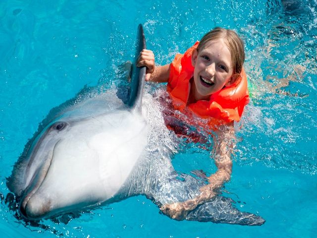 Dolphin World Hurghada