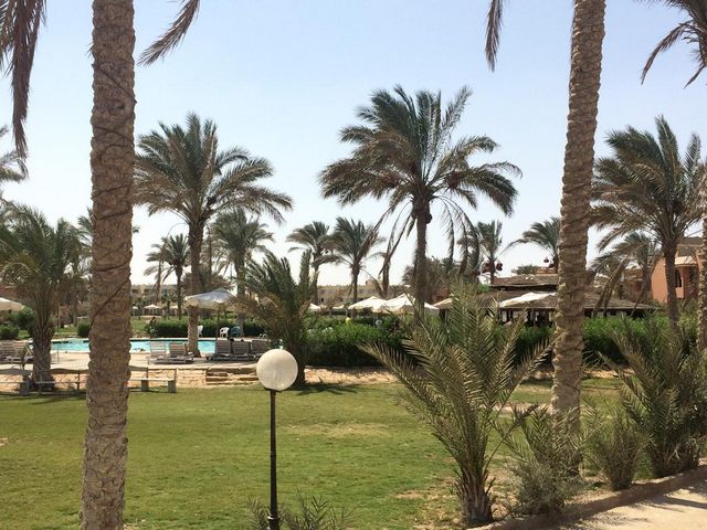 1581356562 220 Report on Horizon Hotel Ain Sokhna - Report on Horizon Hotel Ain Sokhna