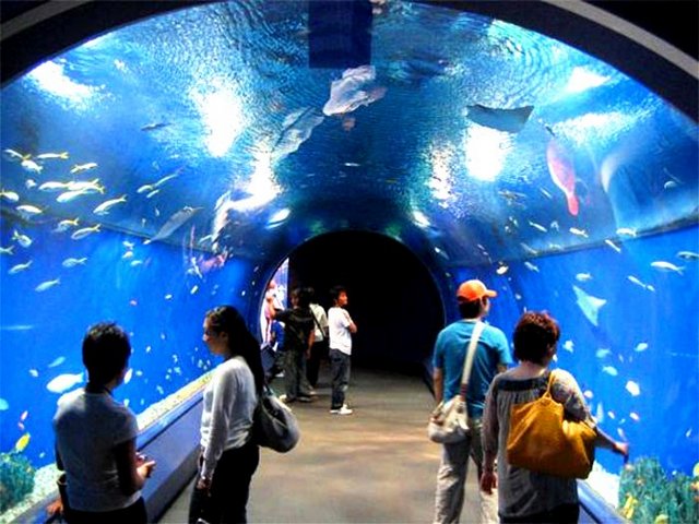 Hurghada Aquarium Egypt