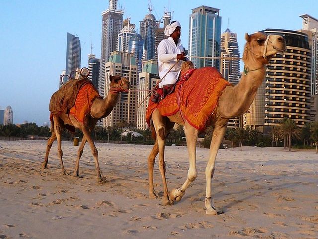 Tourist places in Dubai for families