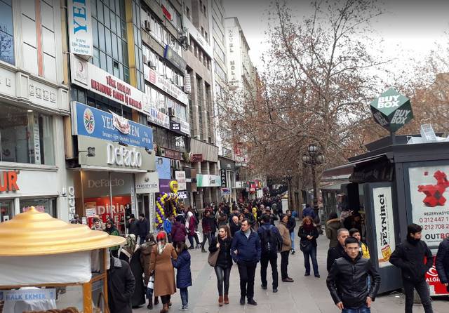 Ankara Kozly