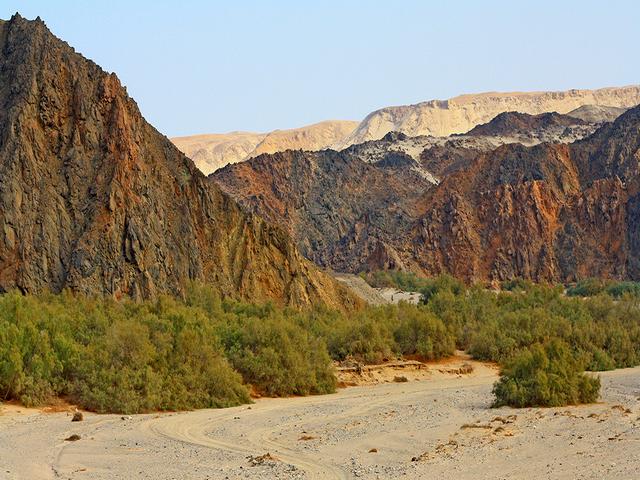 Wadi El Gamal Reserve Marsa Alam