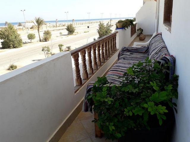 Apartments for rent in Marsa Alam city