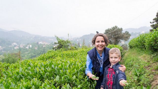 Turkey's tea plantations