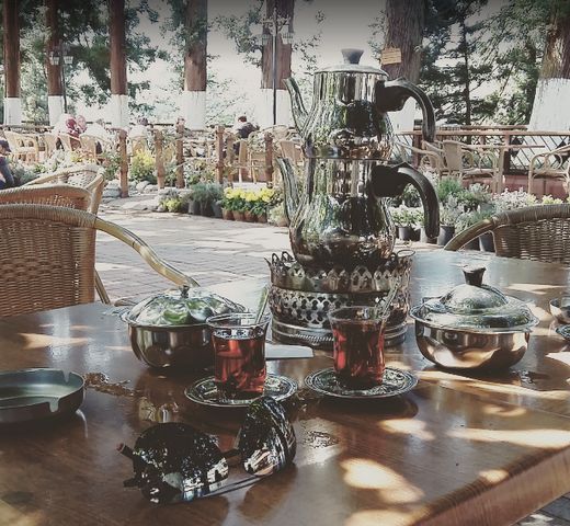 Tea plantation in Risa Turkey
