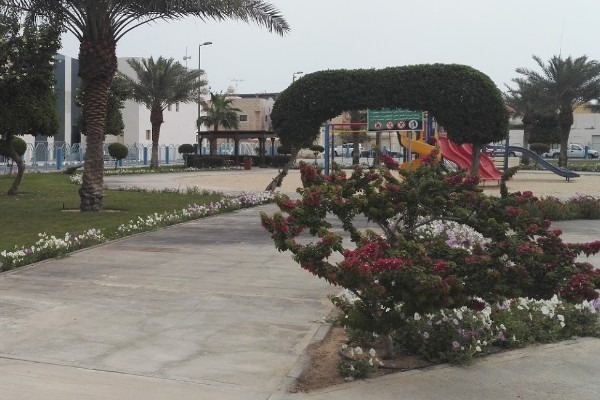 Rose garden in the city of Khobar