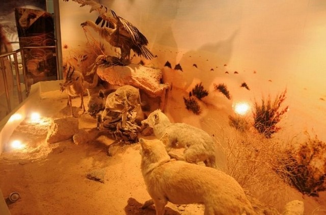 Dammam Regional Museum, Saudi Arabia