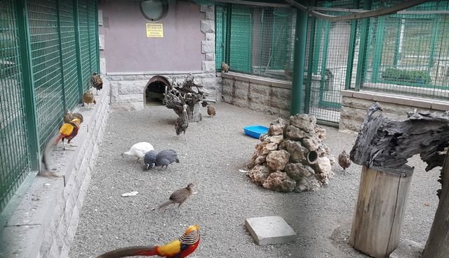 1581361652 14 9 best activities in the zoo in Ankara Turkey - 9 best activities in the zoo in Ankara Turkey