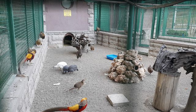 The Zoo in Ankara, Turkey