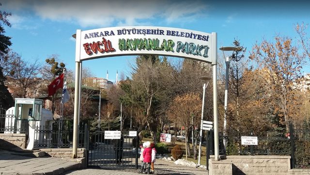 9 best activities in the zoo in Ankara Turkey