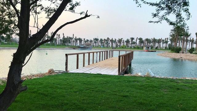 1581362172 246 The best 4 of Al Ahsa parks that we recommend you - The best 4 of Al-Ahsa parks that we recommend you to visit