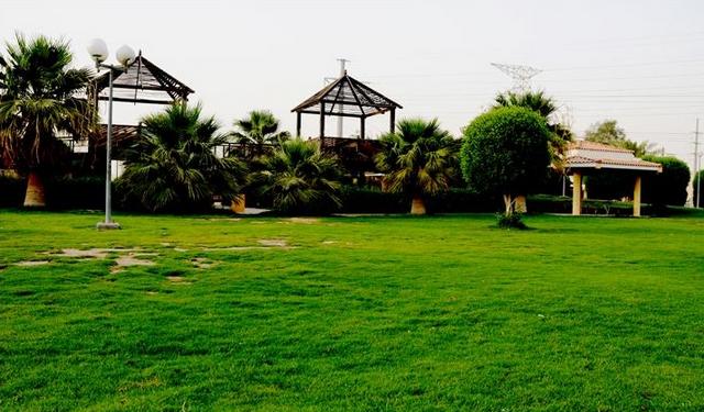 1581362172 453 The best 4 of Al Ahsa parks that we recommend you - The best 4 of Al-Ahsa parks that we recommend you to visit