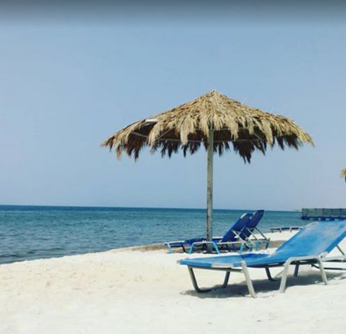 1581362512 524 The best 9 activities in Sharma Tabuk Beach Saudi Arabia - The best 9 activities in Sharma Tabuk Beach, Saudi Arabia