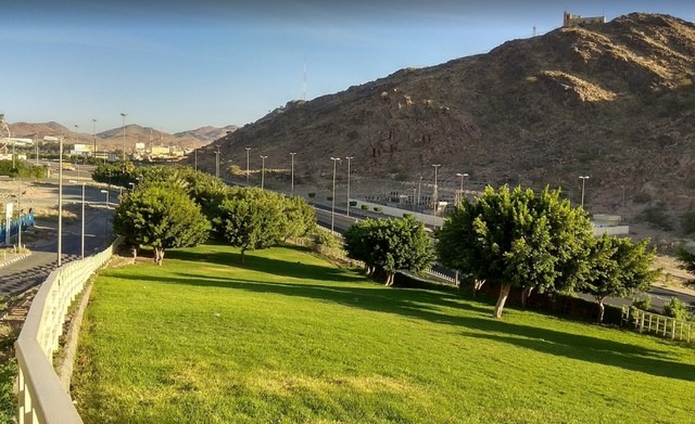 1581362952 922 The 6 best activities at Al Shallal Park in Taif - The 6 best activities at Al Shallal Park in Taif