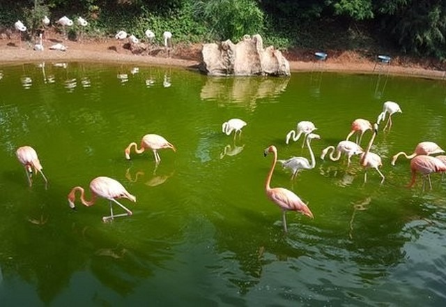 Casablanca Zoo