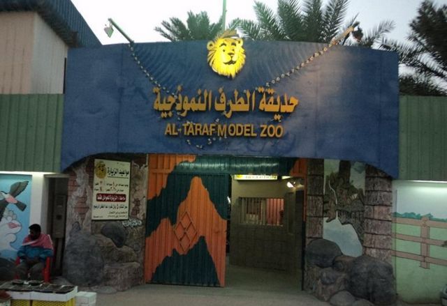 The 6 best activities when visiting the Zoo in Al-Ahsa
