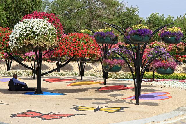 Al Ain Paradise UAE Garden