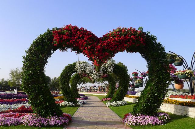 Flower Garden in Al Ain Emirates