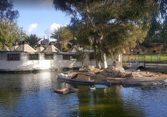 The best 8 activities in the zoo in Algiers