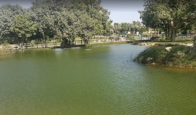 The best 7 activities in the Dhahran Hills Park
