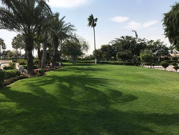 Qatar gardens and parks