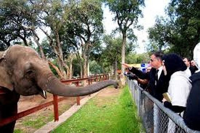 The Zoo in Jijel 