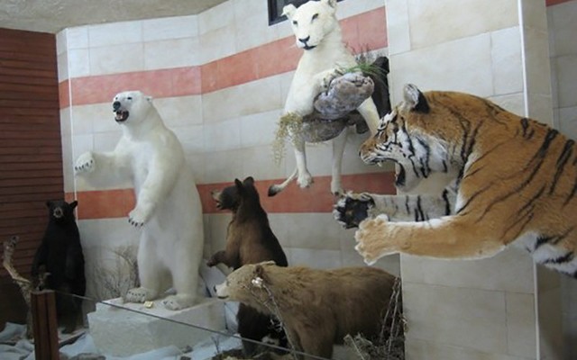 The Zoo in Jijel 
