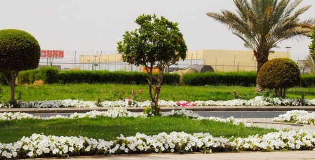 The most beautiful gardens in Tabuk