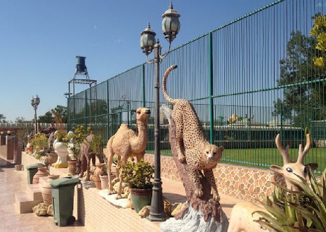 Zoo in Muscat, Oman
