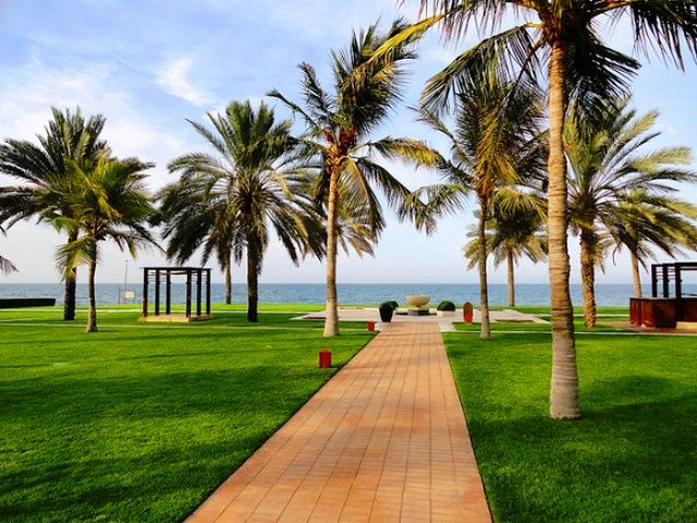 1581377998 388 The 6 best beaches in Muscat that we recommend to - The 6 best beaches in Muscat that we recommend to visit