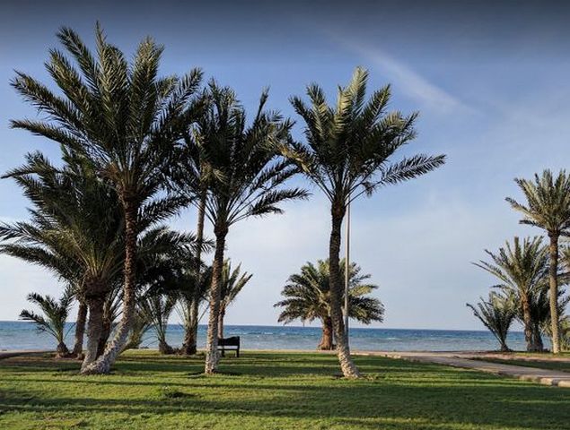 The best 7 activities when visiting Duqm Beach