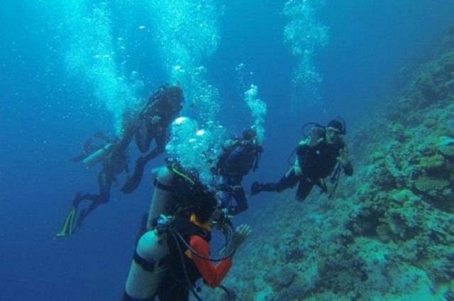 The best diving centers in Aqaba