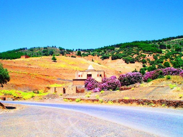 Views in Algeria